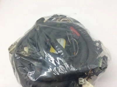 Arnés de cableado principal del motor eléctrico Ski-Doo Skandic WT 600 605354749 2008 telar Foto 1 de 4