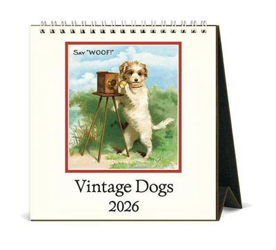 CAVALLINI PAPERS & CO Cavallini - 2026 Desk Calendar - 6 x 6.5ins - Vintage Dogs