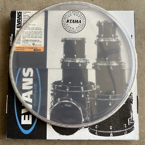 Evans G2 Clear Tom Drum Head, 10 Zoll Drumheads Genera 10" Clear 2-ply Batter - Bild 1 von 3