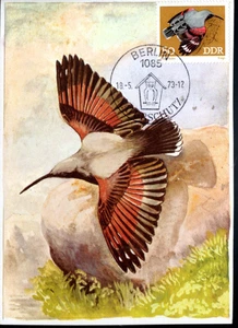 901+ FDC CARTE 1er JOUR ALLEMAGNE OISEAUX TICHDROME ECHELELETTE - Picture 1 of 1