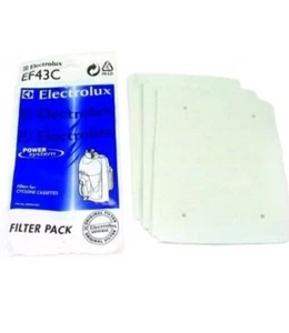 ORIGINAL ELECTROLUX EF43C FILTERPACK FÜR POWERSYSTEM STAUBER 345764005 - Bild 1 von 3