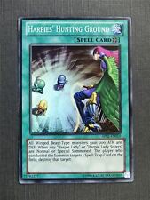 Harpies' Hunting Ground AP02 Super Rare - Yugioh Cards #1HH