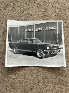 1966 Shelby Mustang GT 350 H original 8 by 10 inches factory photo - Picture 1 of 2