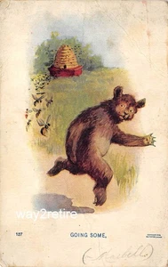 Postcard OCP Bear Running From Bees And Hive "Going Some" 1907 - Picture 1 of 2