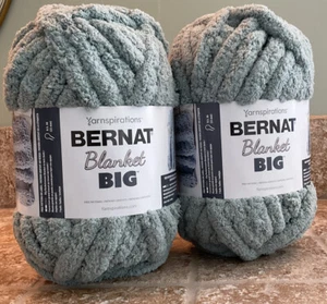 Bernat Yarn Blanket Big Jumbo Skien #7 Soft Chenille Light Misty Green 1 Skein - Picture 1 of 12