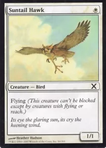 1X SUNTAIL HAWK WHITE 10TH TENTH EDITION MTG MAGIC LP X1 (yourdeckbuilder) - Picture 1 of 1