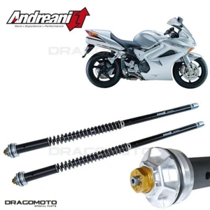 HONDA VFR 800 2002-2012 cartuccia ANDREANI 105/H16E MISANO EVO - Picture 1 of 5