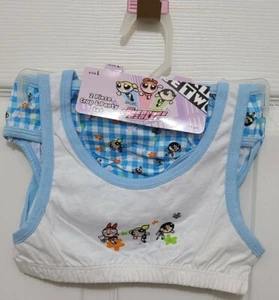 NEW Vtg 2000 Y2K Powerpuff Girls 2 Piece Set Crop Top Bra & Panty Set Girls Sz L - Picture 1 of 9
