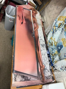 "Póster de puerta enorme divertido y limpio de Donna Speir #7 de colección excelente sur 25""x75""" - Imagen 1 de 3