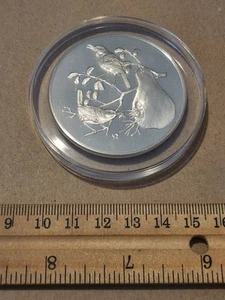 Medaglia Franklin Mint 2,28 oz argento House Wren, Gilroy Roberts Birds n.31 1973 - Foto 1 di 4
