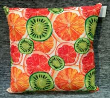 Pier 1 Imports Citrus Pillow Indoor Outdoor Kiwi Orange 16" x 16" Rare NWT