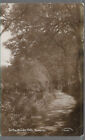 VERY NICE RARE OLD R/P POSTCARD - IN THE BRIDLE PATH - ARNSIDE - CUMBRIA 1911