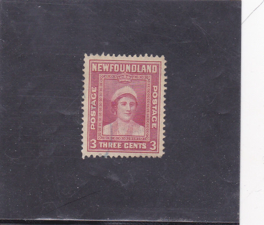 NEWFOUNDLAND 3C.  DEFINITIVE RE-ISSUE - Image 1 of 1