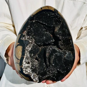 7.99LB Natural Turtle Back Stone Dragon Crystal Cave Crack Gem Healing - Picture 1 of 10