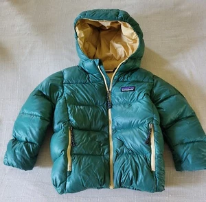 Patagonia 4T Hi-Loft Down Sweater Hoody Jacket Conifer Green - Picture 1 of 6