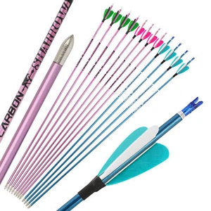 6/12 X 31'' Archery Arrow Pure Carbon 2'' Heart-Shaped Natural Feather Shooting - Picture 1 of 14