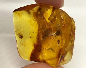 Fossil Insect Inclusion Baltic Amber Piece Natural Stone Collectible 6,4 g 18700 - Picture 1 of 13