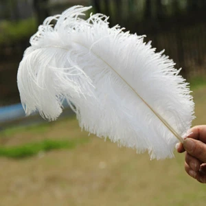 100Pcs 30-35Cm/12-14Inch Ostrich Feathers Crafts Diy Supplies Carnival Costume  - Picture 1 of 13