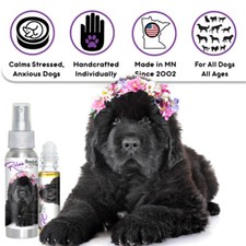 dog grooming equipment ebay