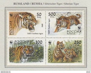 Russia 1993 WWF Fauna Wild Cats Tigers MNH(**) - Picture 1 of 1