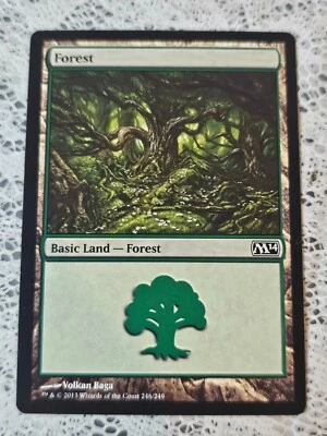 Forest 246/249 L 2013 Magic the Gathering MTG - Image 1 of 2