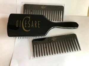 diCesare Beauty Large (9 1/2") Paddle Brush & 2Combs (6") all New in Package - Picture 1 of 4