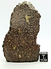 Meteorite Carbonaceous CV3 officially classified & approved from outer space 