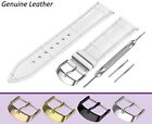 For Rolex White Genuine Leather Watch Strap Band For Buckle Clasp Pins Mens