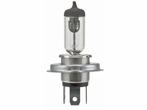 Headlight Bulb 7YBV64 for Discovery Freelander Range Rover 1989 1990 1991 1992 - Picture 1 of 1