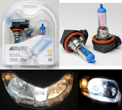 Nokya 5000K White H8 Nok8023 55W Two Bulbs Fog Light Replacement Plug Play Lamp - Image 1 of 4