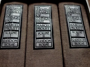 VINTAGE MARCEL PROUST ERINNERUNG AN VERGANGENE DINGE. 1981 ED. 3er SET  GUT ERHALTEN - Bild 1 von 12