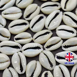 Set of 50 Natural Cowrie Sea Shells - Ideal for DIY Jewelry, Necklaces Bracelets - Picture 1 of 8