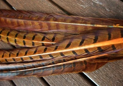 Irish Fly Supplies Cock Pheasant tails - Golden Olive x 2, Crunchers, nymphs.