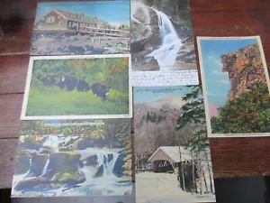 6 cartoline d'epoca antiche New Hampshire franconia tacca old man Maine Bears - Foto 1 di 10