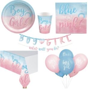 Gender reveal party decorations & boy or girl baby reveal party decorations