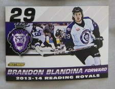 2013-14 Brandon Blandina Reading Royals ECHL  Hockey Card