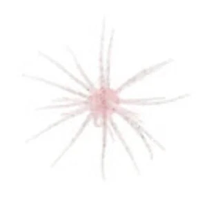 HIDEUP COIKE 17MM CREATURE BAIT SELECT COLOR JAPAN JDM BASS BALL - Bild 1 von 7