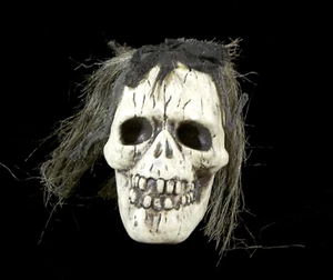 Teschio di polistirolo peloso Halloween - Foto 1 di 8