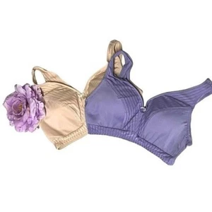 Rhonda Shear Striped Mesh Curve Envy Pin-Up Bra 2 Pk MEDIUM - Picture 1 of 6