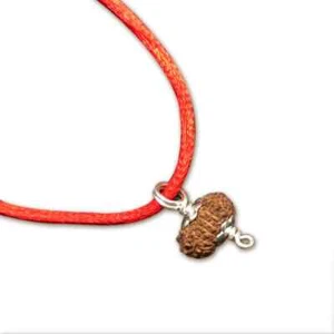 20 Mukhi Indonesisch Java Rudraksha Medium 14mm-16mm Silber Anhänger IGL zertifiziert - Bild 1 von 2