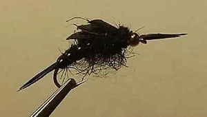 12 Brass Bead Black Stone Fly Nymph Wet Fly Trout - Picture 1 of 1