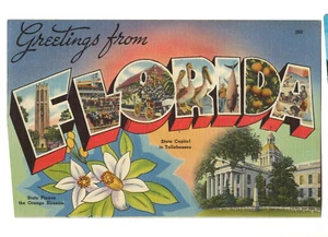 1951 Classic  Postcard "Greetings From Florida" #864 - Imagen 1 de 2
