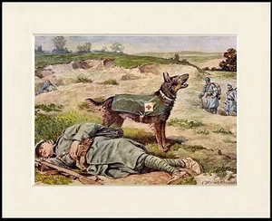 DEUTSCHER SCHÄFERHUND RETTUNGSKRIEGSHUND SCHÖNER KLEINER HUND DRUCK RAHMENFERTIG MONTIERT - Bild 1 von 1