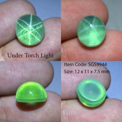11.35 Ct 12x11 MM Colombian Green Star Sapphire 6 Rays Lab Corundum VDO SGS9944 - Image 1 of 4