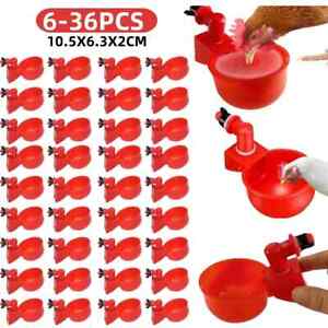 6-36Pcs Chicken Duck Drinking Cup Automatic Drinker Chicken Feeder Plastic Poult