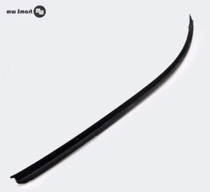 TÜRDICHTUNG SMART 450 AUßEN RECHTS - Bild 1 von 1