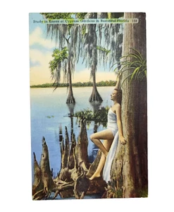 Bellissima donna di cipresso ginocchia in lino da giardino cartolina d'epoca annullo timbro - Foto 1 di 3