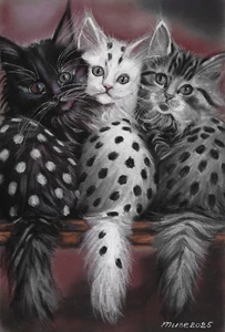 original drawing 20 x 30 cm 131DO artwork modern pastel three kittens - Picture 1 of 5