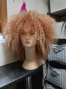 Brazilian Afro Kinky Human hair Wig - Picture 1 of 14