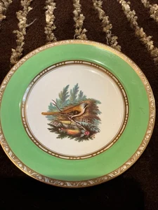 "Placa antigua Spode Imari antigua C1830 Spode 9"" pintada a mano" - Imagen 1 de 8